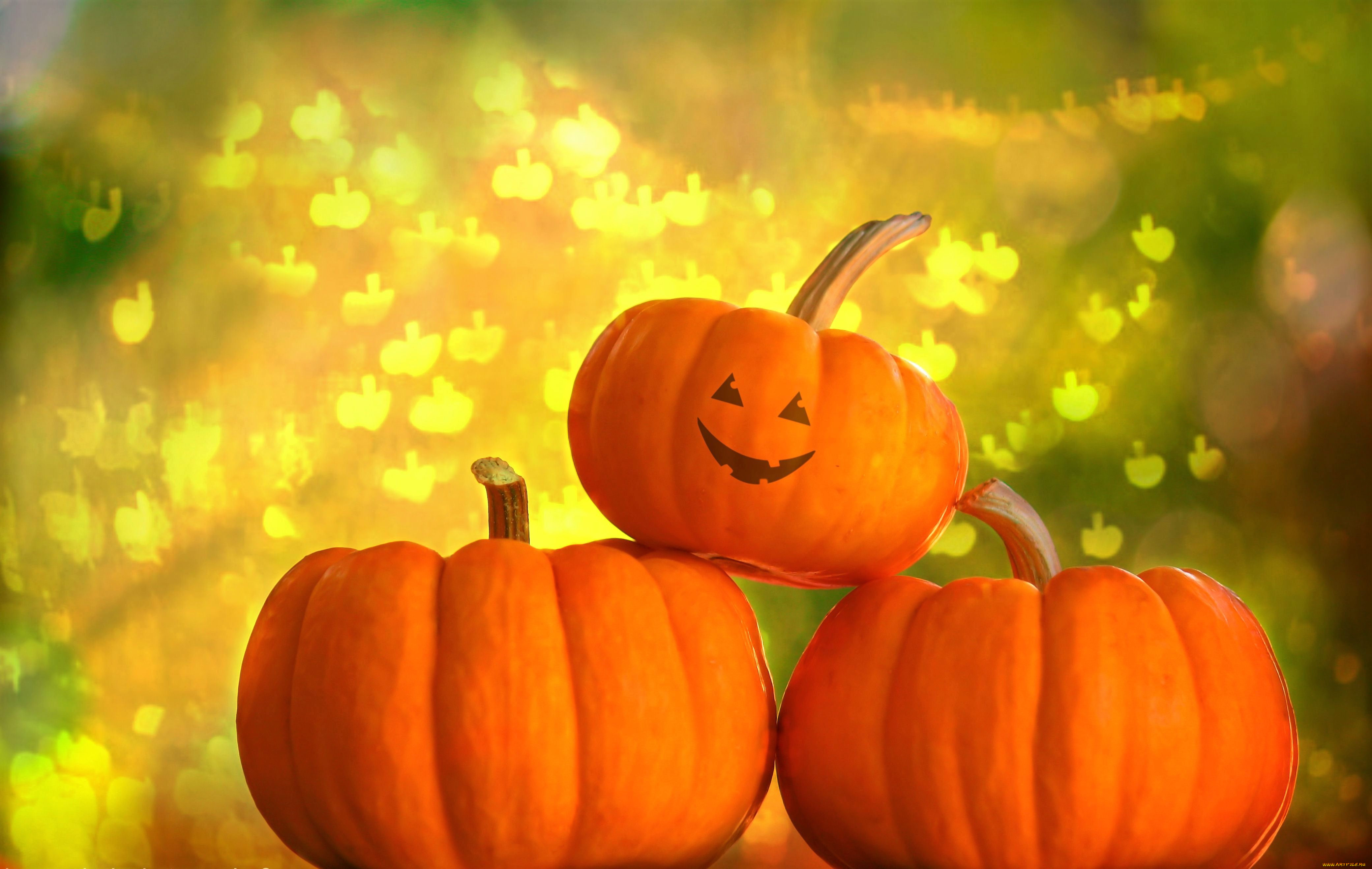 , , halloween